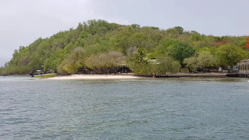 Le rivage boisé de l’îlet Oscar